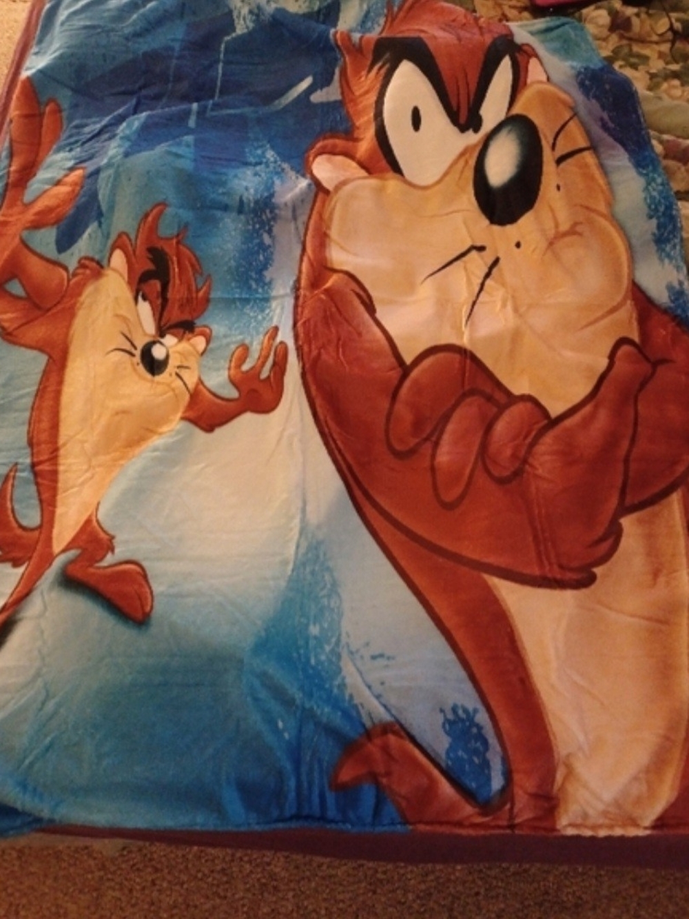 Warner Bros. Taz Cartoon Plush Throw Blanket in Blue and Brown